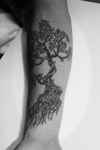 tatuaggio albero 552
