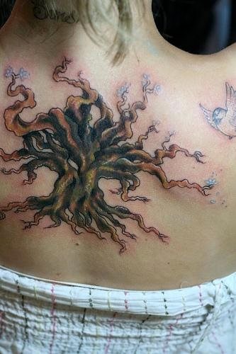 tatuaggio albero 555