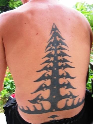 tatuaggio albero 560