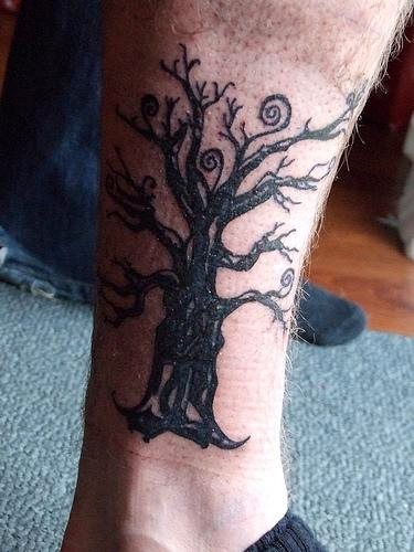tatuaggio albero 570