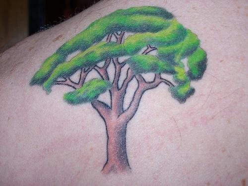 tatuaggio albero 576