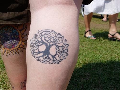 tatuaggio albero 582