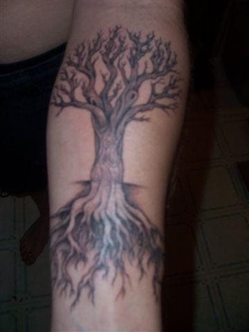 tatuaggio albero 587