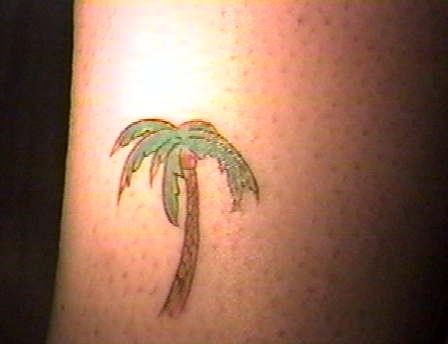 tatuaggio albero 505