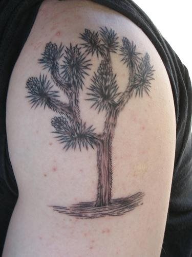 tatuaggio albero 520