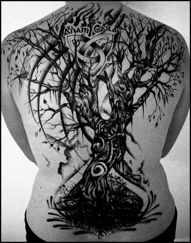 tatuaggio albero 527