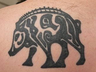 tatuaggio animale 171