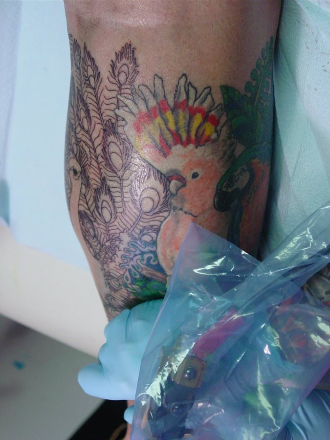 tatuaggio animale 190