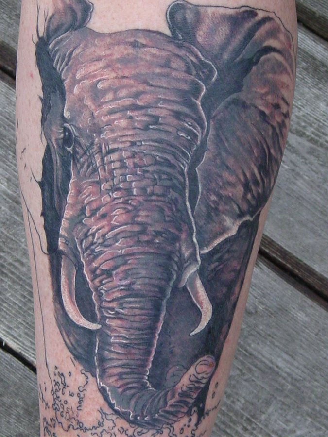 tatuaggio animale 192