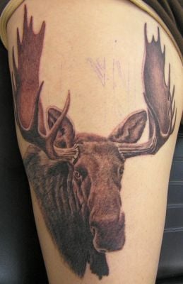 tatuaggio animale 200