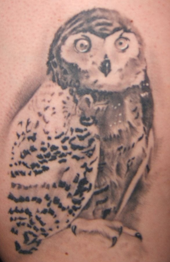 tatuaggio animale 205