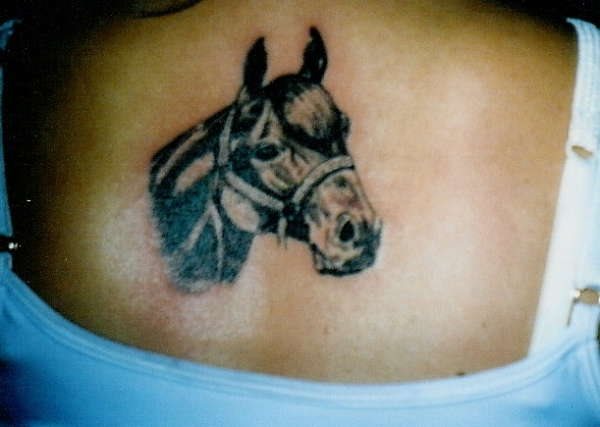 tatuaggio cavallo 508