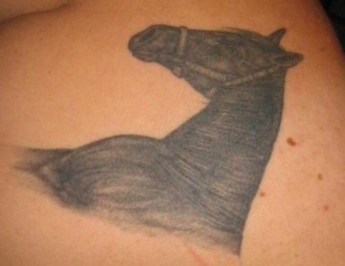 tatuaggio cavallo 518