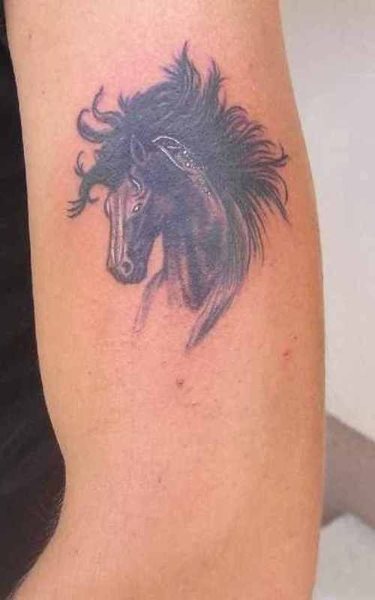tatuaggio cavallo 519