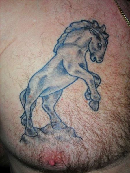 tatuaggio cavallo 532