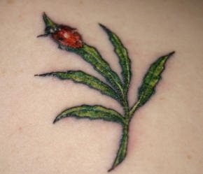 tatuaggio coccinella 1005