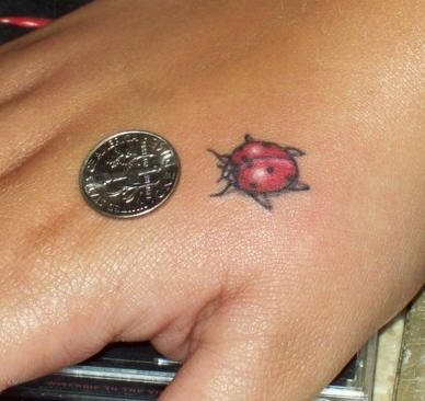 tatuaggio coccinella 1009