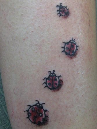 tatuaggio coccinella 1014