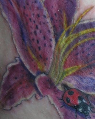 tatuaggio coccinella 1021