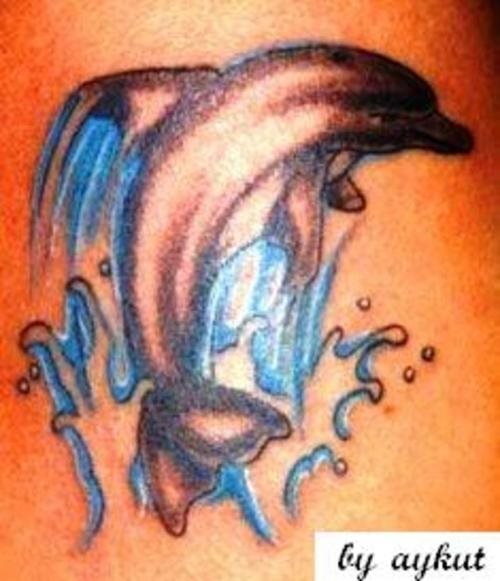 tatuaggio delfino 513