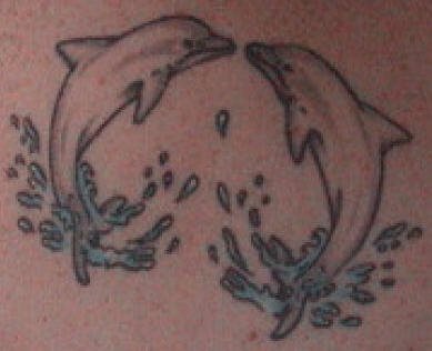 tatuaggio delfino 531