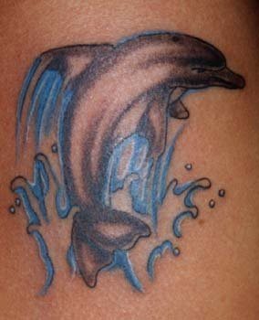 tatuaggio delfino 533