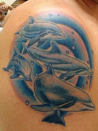tatuaggio delfino 538