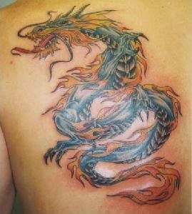 tatuaggio drago giapponese 555