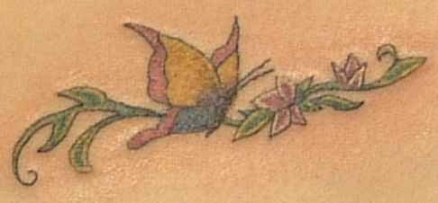 tatuaggio farfalla 1043