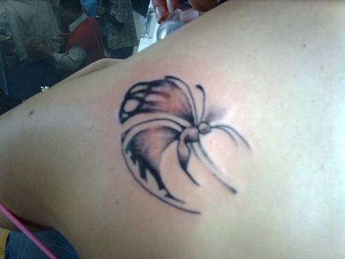 tatuaggio farfalla 1053