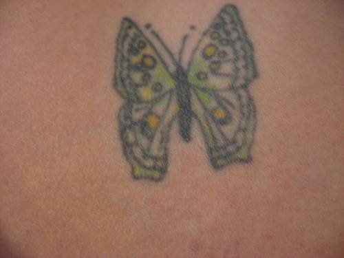 tatuaggio farfalla 1060