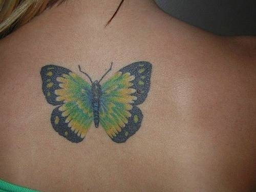 tatuaggio farfalla 1072