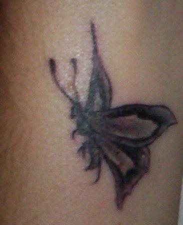tatuaggio farfalla 1096