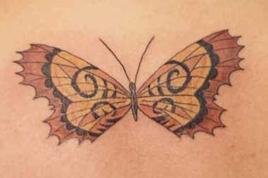 tatuaggio farfalla 1036
