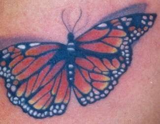 tatuaggio farfalla 1038