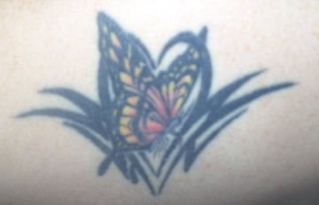 tatuaggio farfalla 1039