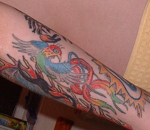 tatuaggio fenice 1007