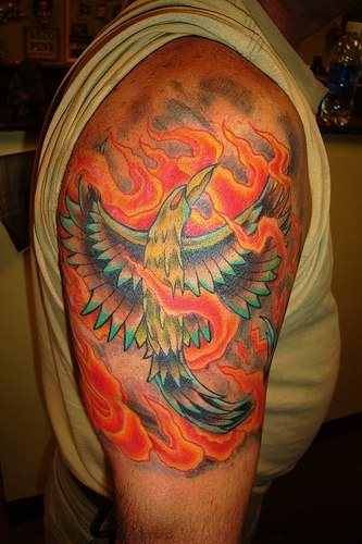 tatuaggio fenice 1016