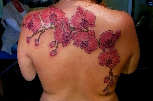 tatuaggio fiore orchidea 1029