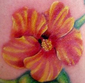 tatuaggio fiore ibisco 1015