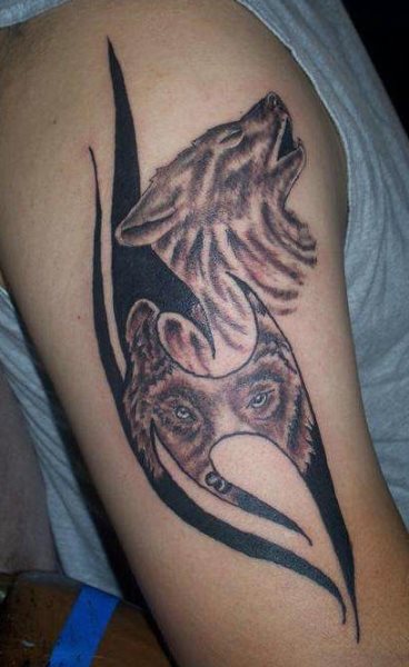 tatuaggio lupo  1035