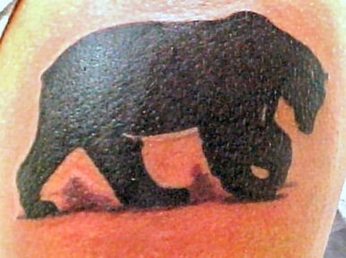 tatuaggio orso 1018