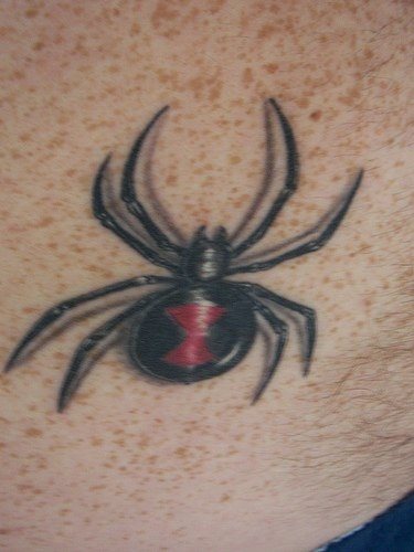tatuaggio ragno 537