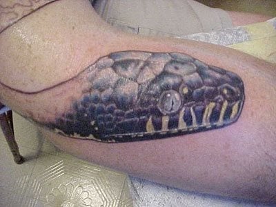 tatuaggio rettile 1013