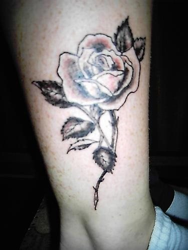 tatuaggio rosa 1015