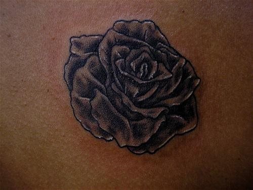 tatuaggio rosa 1049
