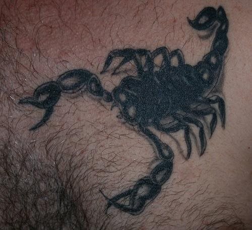 tatuaggio scorpione 1117