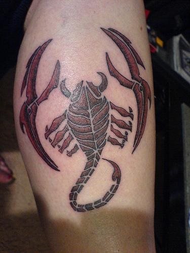tatuaggio scorpione 1131