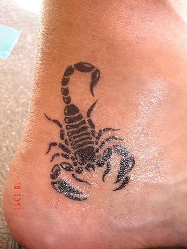 tatuaggio scorpione 1137