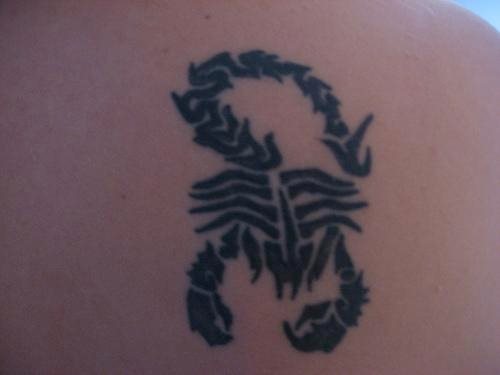 tatuaggio scorpione 1157